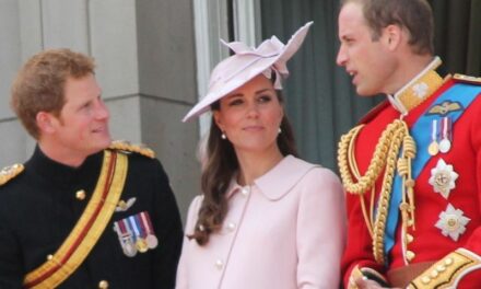 Kate, William et Harry recrutent sur LinkedIn