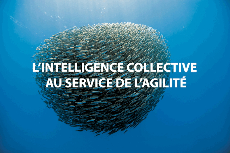 Comment aborder l’intelligence collective ?