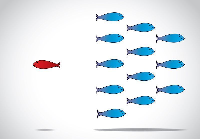 RH : de l’innovation à l’action…