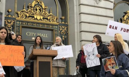 La ville de San Francisco interdit la vente de fourrures neuves