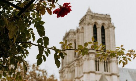 Notre-Dame : Kering et LVMH se mobilisent pour financer la reconstruction