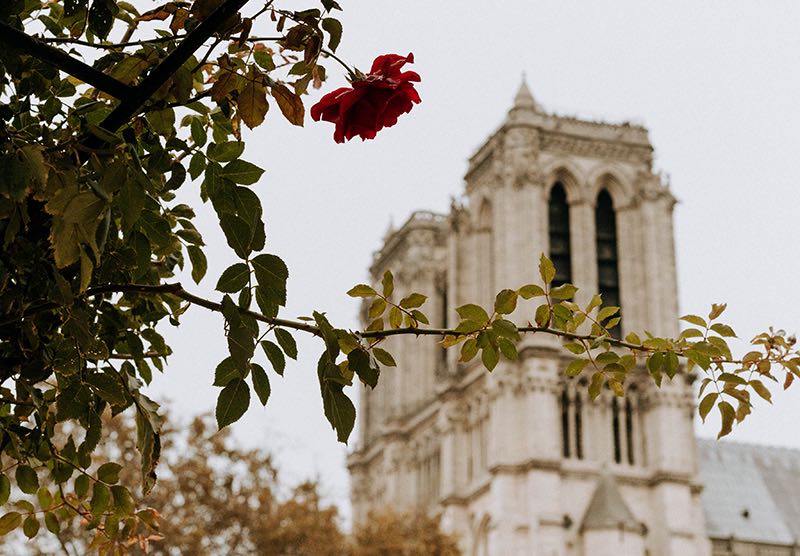 Notre-Dame : Kering et LVMH se mobilisent pour financer la reconstruction