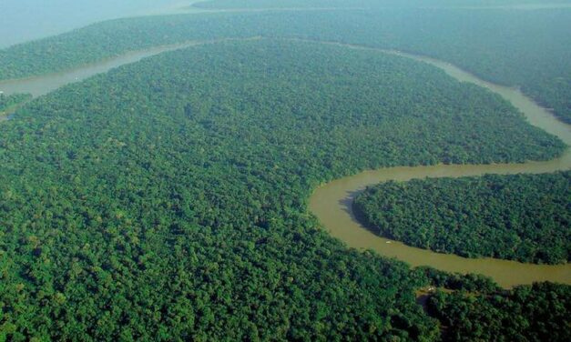Amazonie : LVMH fait don de 10 millions d’euros pour lutter contre les incendies